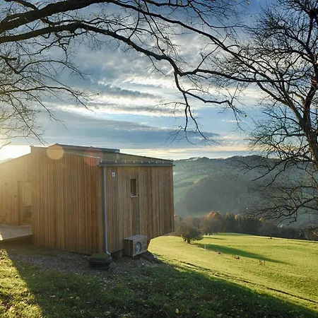 Ein Elsbeer Mitten In Der Campsite *