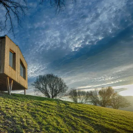 Ein Elsbeer Mitten In Der Mayerhoefen
