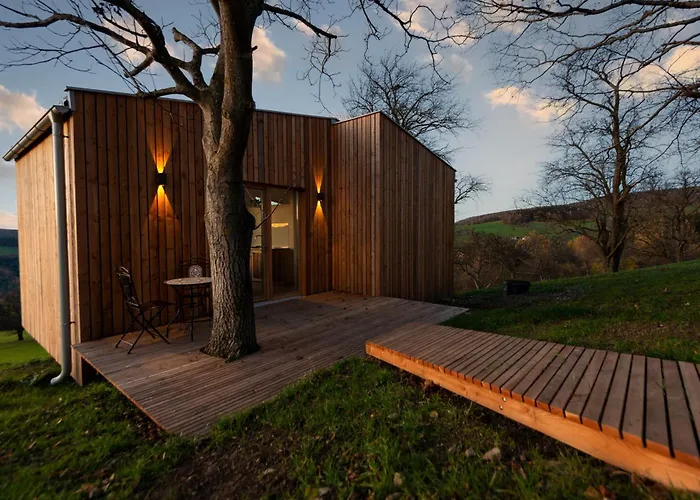 Ein Elsbeer Mitten In Der *