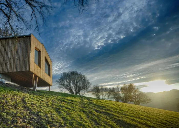 Ein Elsbeer Mitten In Der Mayerhoefen