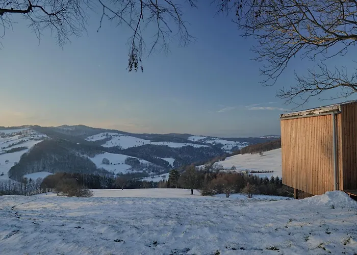 Ein Elsbeer Mitten In Der Campingplatz