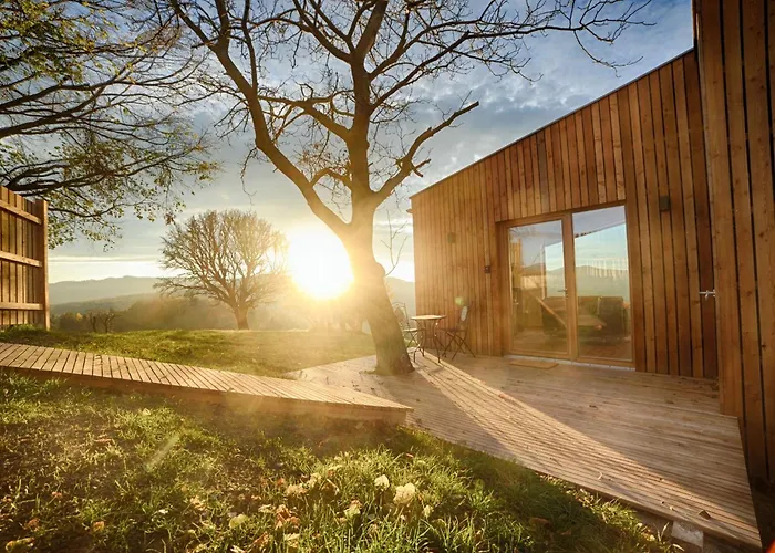 Ein Elsbeer Mitten In Der Campingplatz *